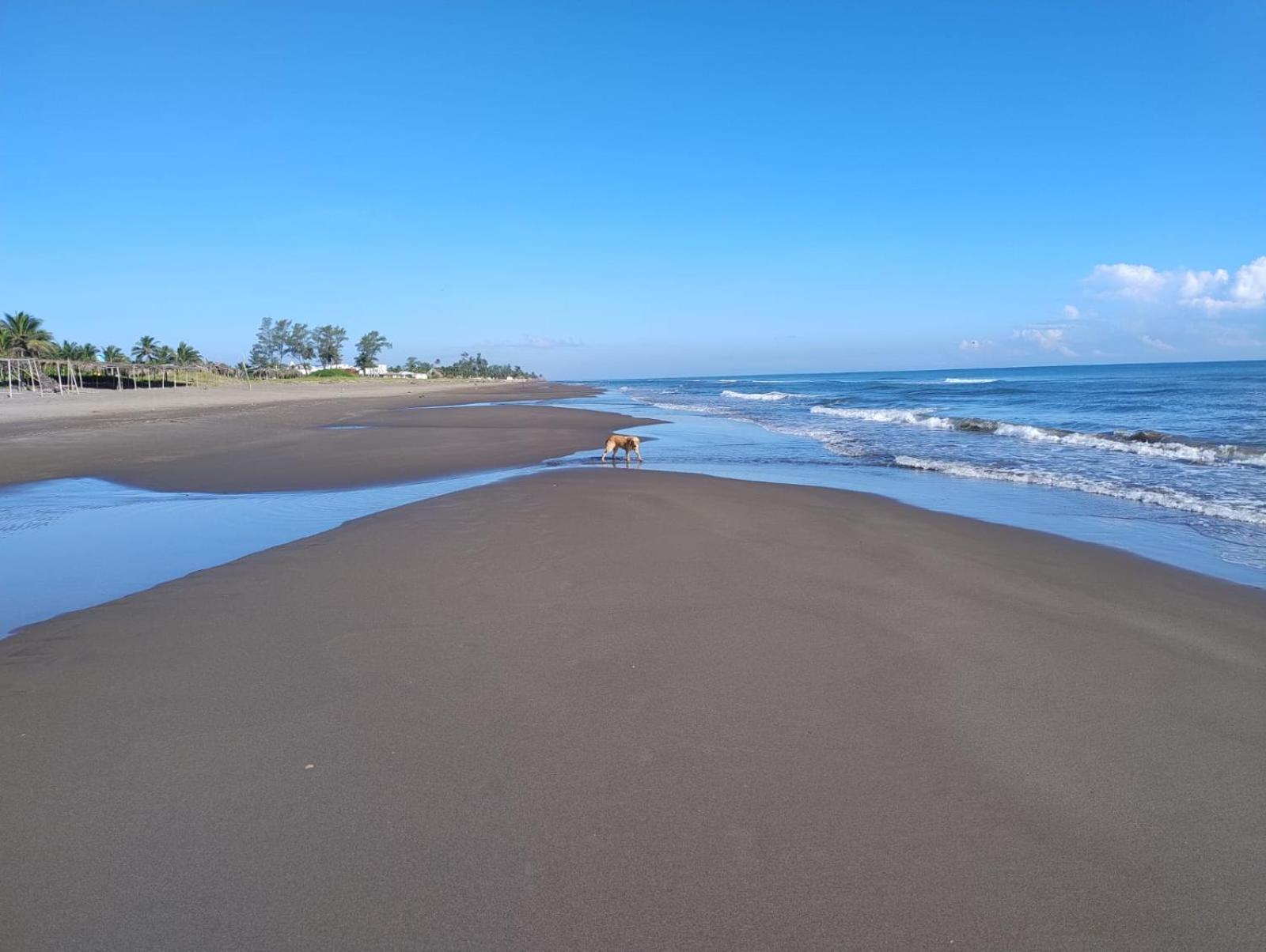 Playa Encantada Casitas Eksteriør bilde